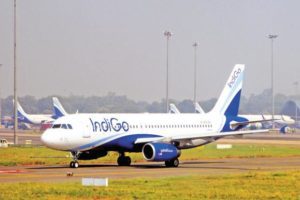 INDIGO