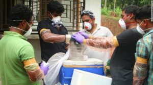 nipah virus