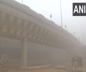 Delhi Weather Forecast