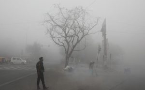 fall in Delhi