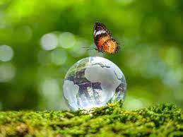 World Enviroment Day 2021