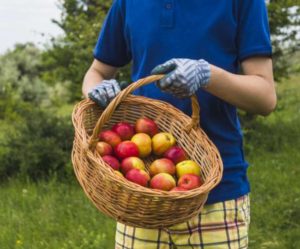 World Food Safety Day 2021