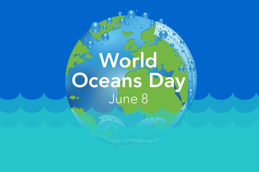 World Ocean Day 2021 Why World Ocean Day is celebrated to know
