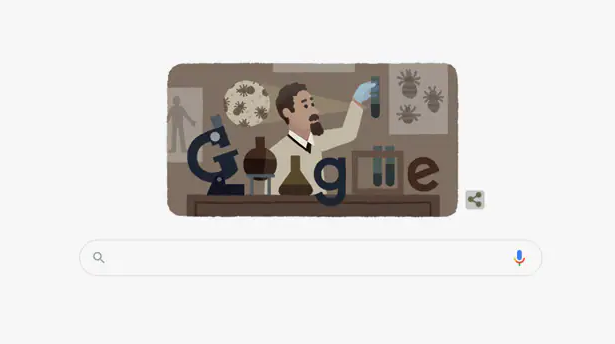 google celebrate
