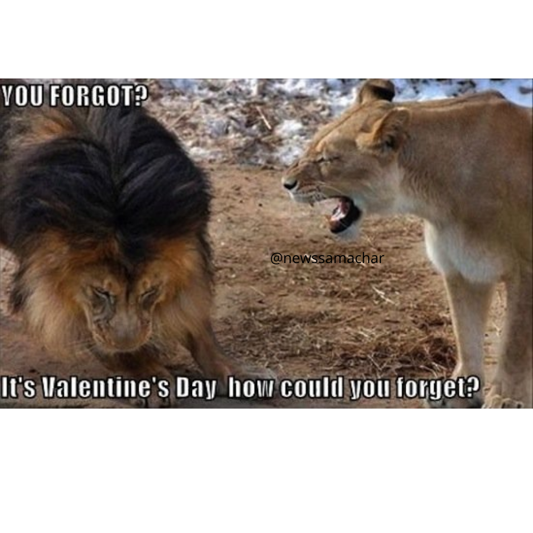 Valentines day memes
