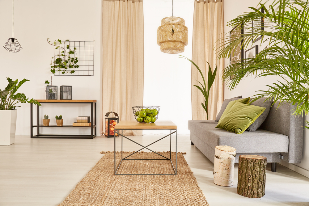 plants for living area 