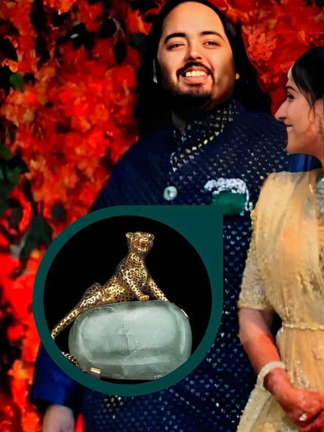 Anant Ambani Brooch