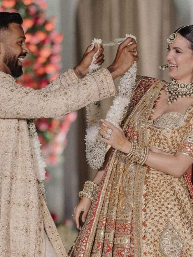 Hardik-Panday-Natasa-Stankovic-Get-Married-in-Hindu-Ceremony-After-White-Wedding-Share-Gorgeous-Pictures-From-Pheras