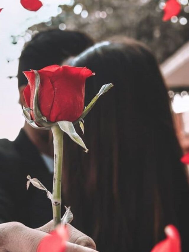 Rose Day