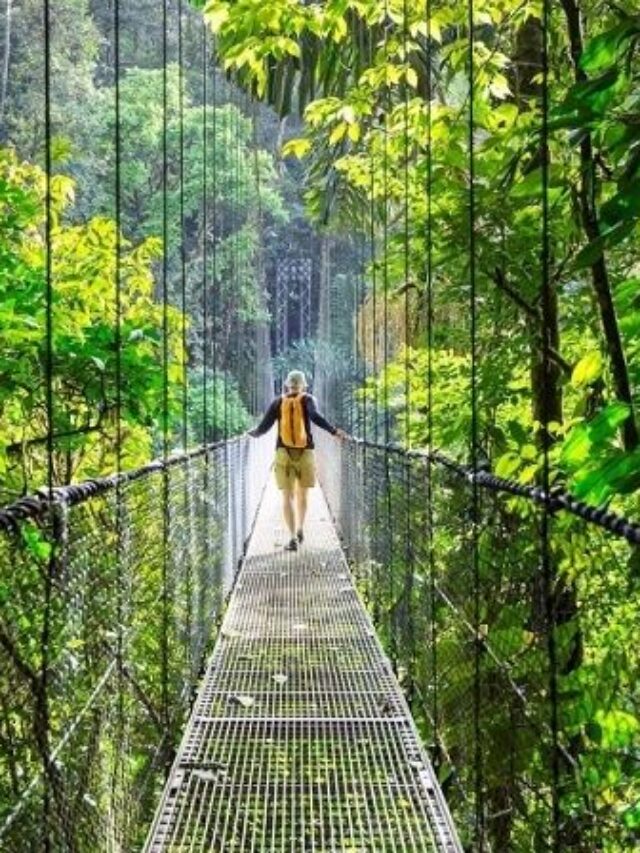 eco tourism