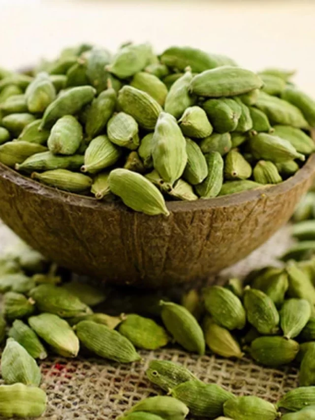 cardamom