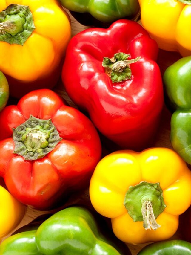 Capsicum