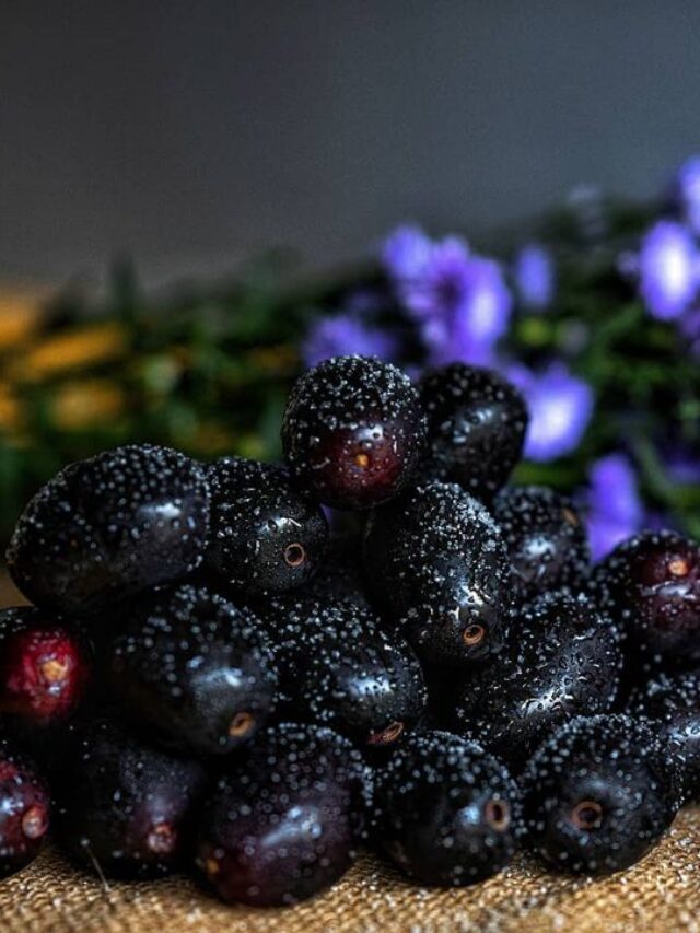java plum
