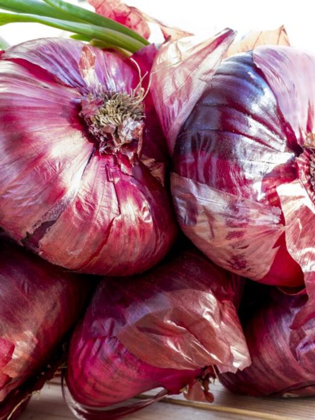 benefits of onion