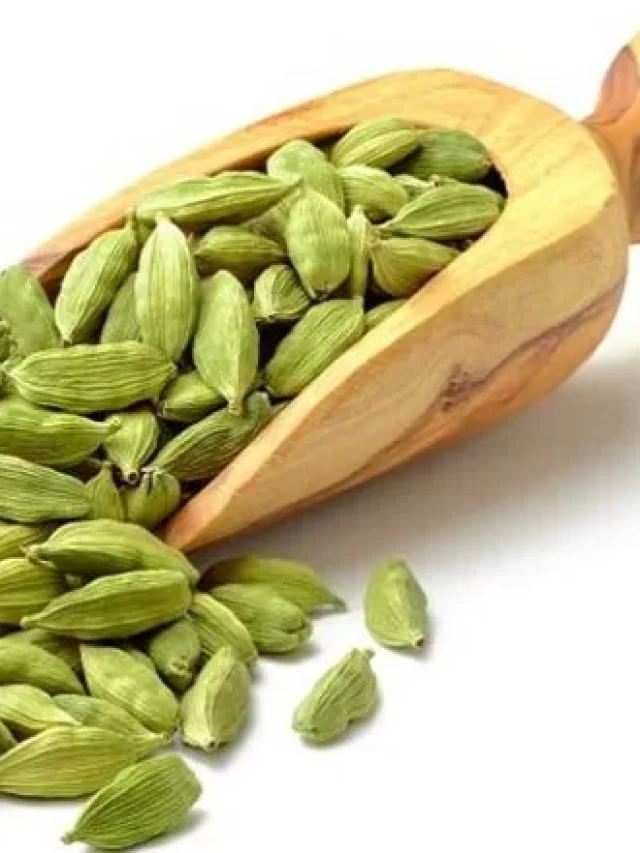 Green-Cardamom