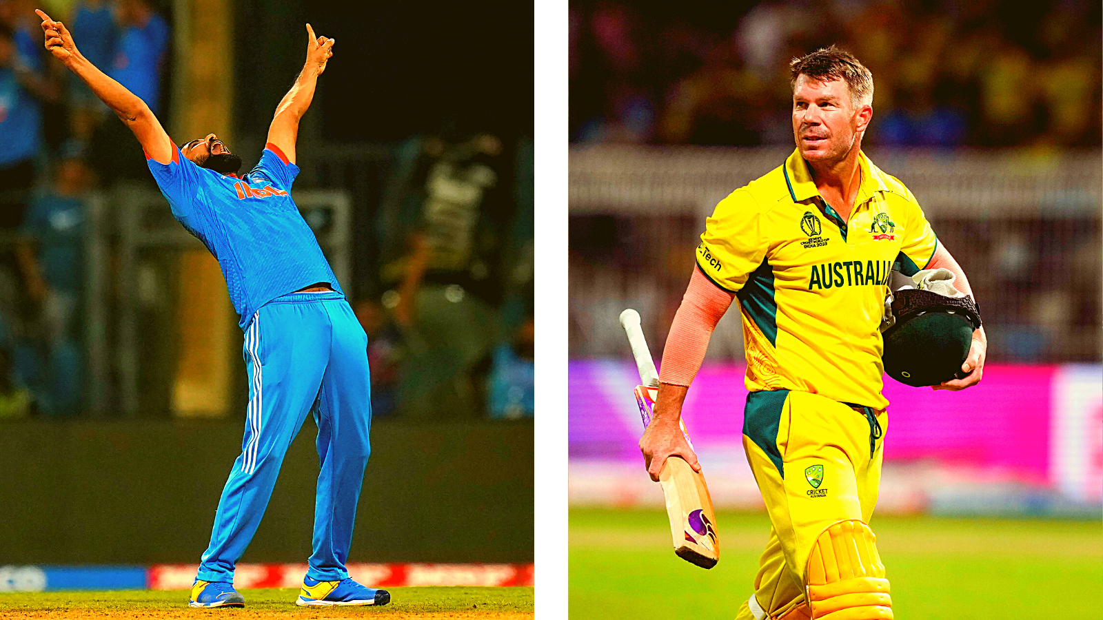 mohammed shami david warner