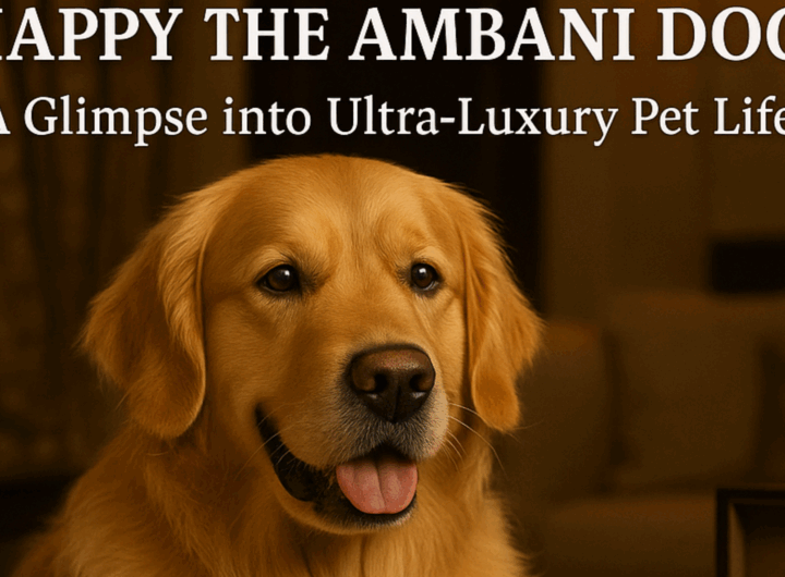 Ambani Dog Lifestyle