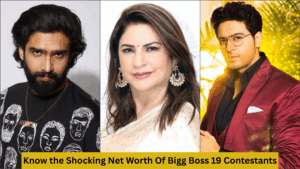 Bigg Boss 19 Contestants Net Worth