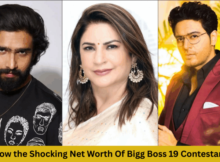 Bigg Boss 19 Contestants Net Worth